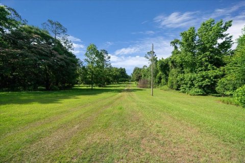 Land in High Springs, Florida № 1747172 - photo 27