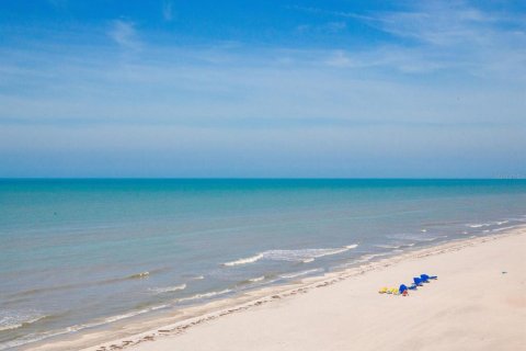 Condo in Indian Shores, Florida, 2 bedrooms № 2093834 - photo 22