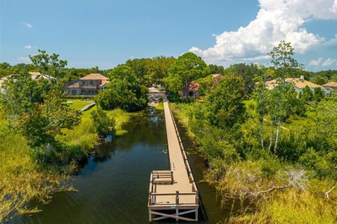 House in Mount Dora, Florida 4 bedrooms, 221.57 sq.m. № 2309007 - photo 4