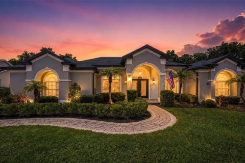House in Mount Dora, Florida 4 bedrooms, 221.57 sq.m. № 2309007