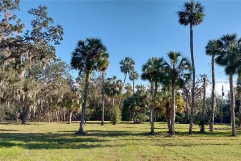 Land in Riverview, Florida № 1535492 - photo 3