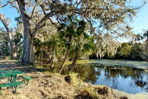 Land in Riverview, Florida № 1535492 - photo 14