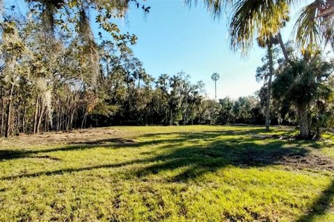 Land in Riverview, Florida № 1535492 - photo 8