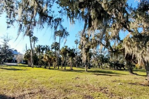 Land in Riverview, Florida № 1535492 - photo 7