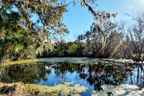 Land in Riverview, Florida № 1535492 - photo 1