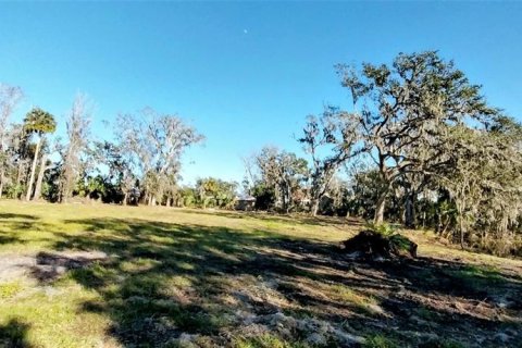 Land in Riverview, Florida № 1535492 - photo 13