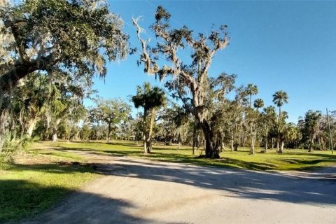 Land in Riverview, Florida № 1535492 - photo 4