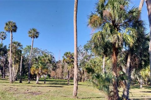Land in Riverview, Florida № 1535492 - photo 10