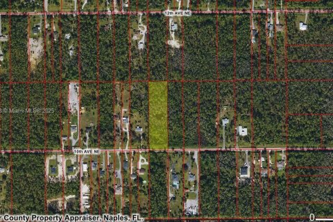 Commercial property in Naples, Florida № 1953702 - photo 3