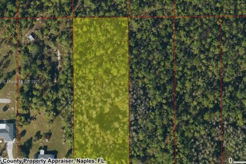 Commercial property in Naples, Florida № 1953702 - photo 2