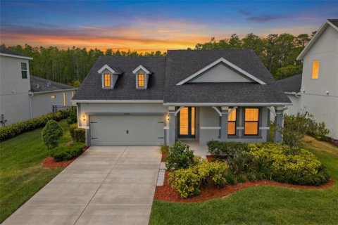 Villa ou maison à Odessa, Floride 4 chambres, 206.71 m2 № 2314425