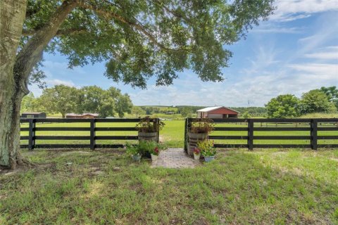 Appartement à louer à Howey-in-the-Hills, Floride: 3 chambres, 171.68 m2 № 2418609 - photo 29