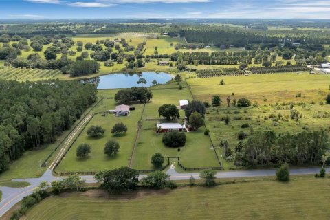 Appartement à louer à Howey-in-the-Hills, Floride: 3 chambres, 171.68 m2 № 2418609 - photo 2
