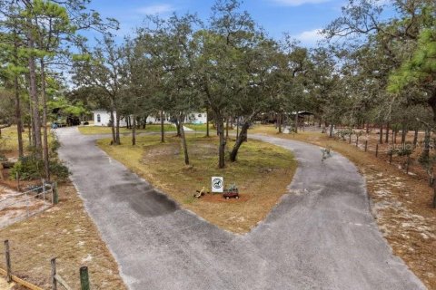 Villa ou maison à vendre à Brooksville, Floride: 3 chambres, 276.66 m2 № 2149230 - photo 2