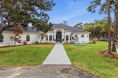 Villa ou maison à vendre à Brooksville, Floride: 3 chambres, 276.66 m2 № 2149230 - photo 5