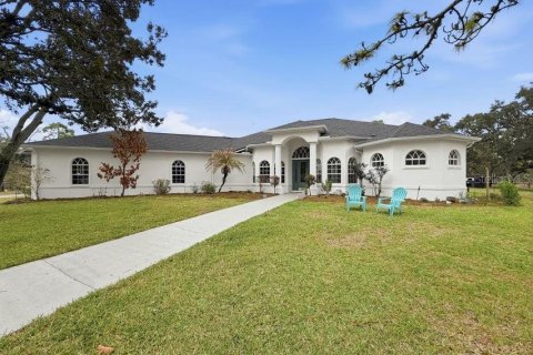 Villa ou maison à vendre à Brooksville, Floride: 3 chambres, 276.66 m2 № 2149230 - photo 3