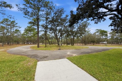Villa ou maison à vendre à Brooksville, Floride: 3 chambres, 276.66 m2 № 2149230 - photo 6