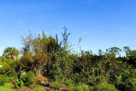 Land in Port Charlotte, Florida № 2164529 - photo 2