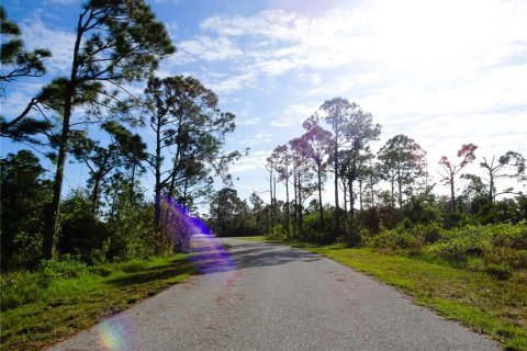 Land in Port Charlotte, Florida № 2164529 - photo 4