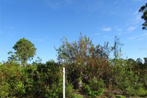 Land in Port Charlotte, Florida № 2164529 - photo 5