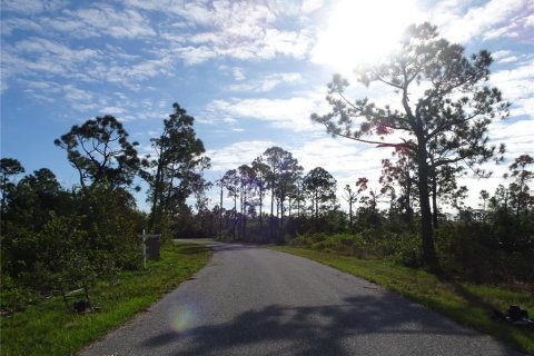 Land in Port Charlotte, Florida № 2164529 - photo 7