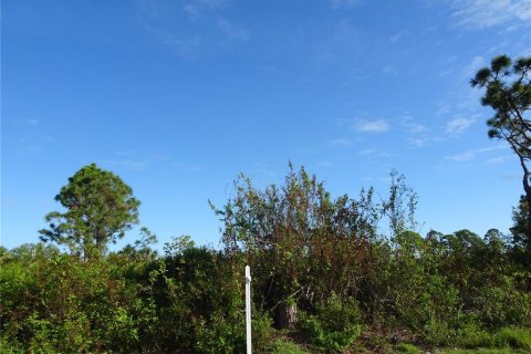 Land in Port Charlotte, Florida № 2164529 - photo 6