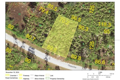 Land in Port Charlotte, Florida № 2164529 - photo 3