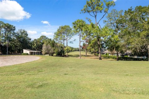 Condo in New Port Richey, Florida, 2 bedrooms  № 2143308 - photo 29