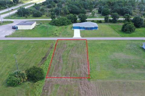 Land in Punta Gorda, Florida № 2162414 - photo 3