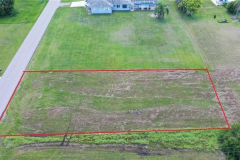 Land in Punta Gorda, Florida № 2162414 - photo 2
