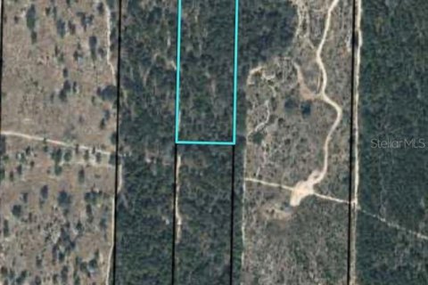 Land in Chipley, Florida № 1573085 - photo 1