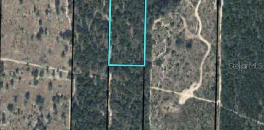 Land in Chipley, Florida № 1573085