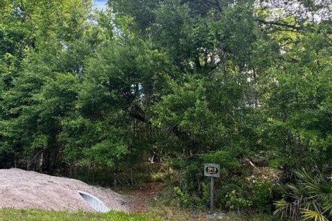 Terreno en venta en Orlando, Florida № 2205740 - foto 7