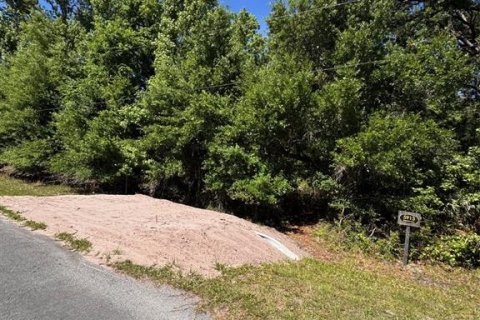 Terreno en venta en Orlando, Florida № 2205740 - foto 17