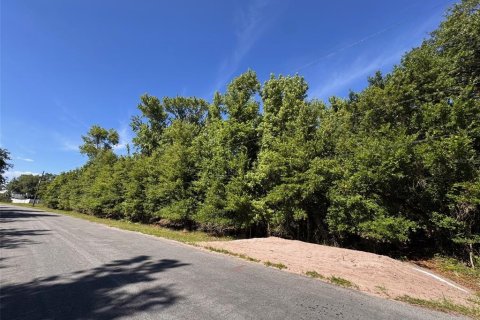 Terreno en venta en Orlando, Florida № 2205740 - foto 18
