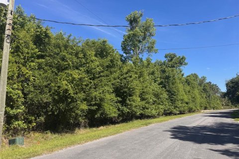 Terreno en venta en Orlando, Florida № 2205740 - foto 22