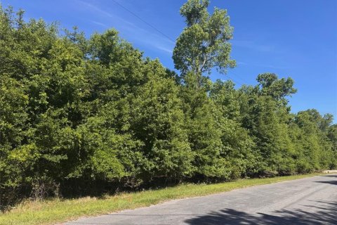 Terreno en venta en Orlando, Florida № 2205740 - foto 21