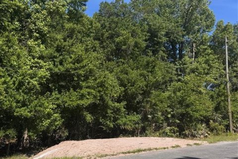 Terreno en venta en Orlando, Florida № 2205740 - foto 19