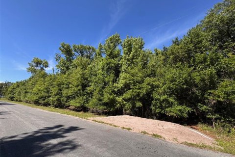 Terreno en venta en Orlando, Florida № 2205740 - foto 3