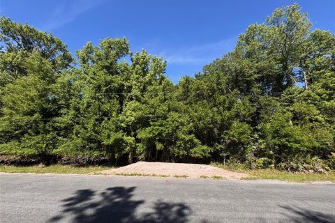 Terreno en venta en Orlando, Florida № 2205740 - foto 2