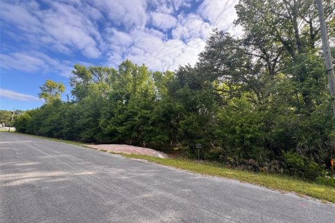 Terreno en venta en Orlando, Florida № 2205740 - foto 4