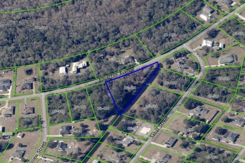 Terreno en venta en Orlando, Florida № 2205740 - foto 14