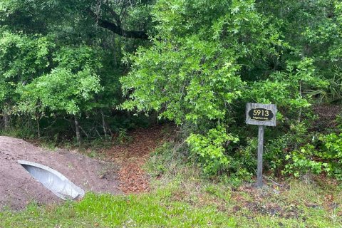 Terreno en venta en Orlando, Florida № 2205740 - foto 6