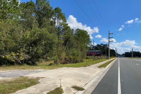 Land in Interlachen, Florida № 766822 - photo 1