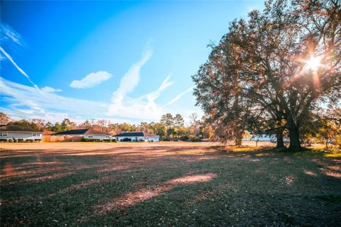 Terreno en venta en Alachua, Florida № 1816154 - foto 1