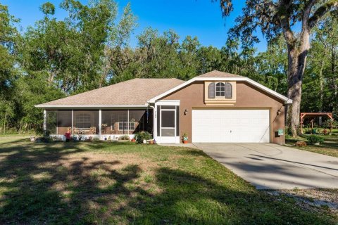 Villa ou maison à vendre à Brooksville, Floride: 3 chambres, 154.68 m2 № 1673974 - photo 1