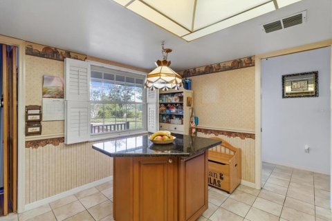 House in Inverness, Florida 4 bedrooms, 183.95 sq.m. № 1625133 - photo 29