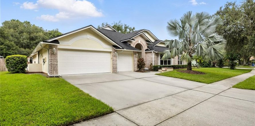 House in Tampa, Florida 4 bedrooms, 364.18 sq.m. № 1819133