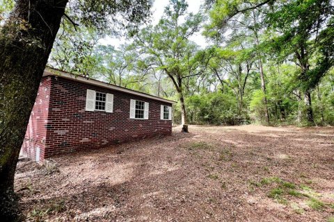 House in Westville, Florida 3 bedrooms, 133.41 sq.m. № 560279