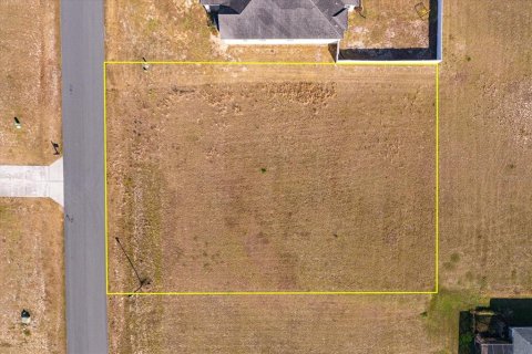 Land in Fruitland Park, Florida № 2213195 - photo 3